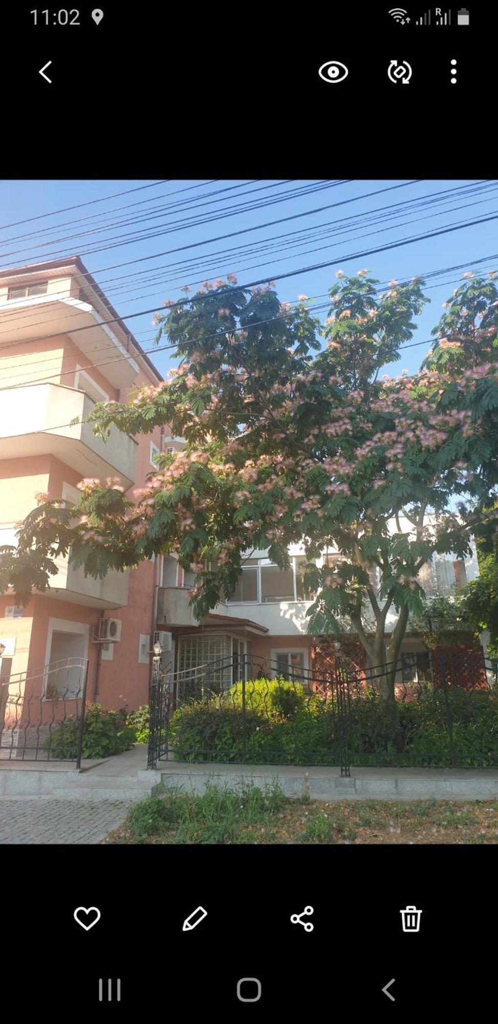 Hotel Laguna Eforie Nord Ngoại thất bức ảnh