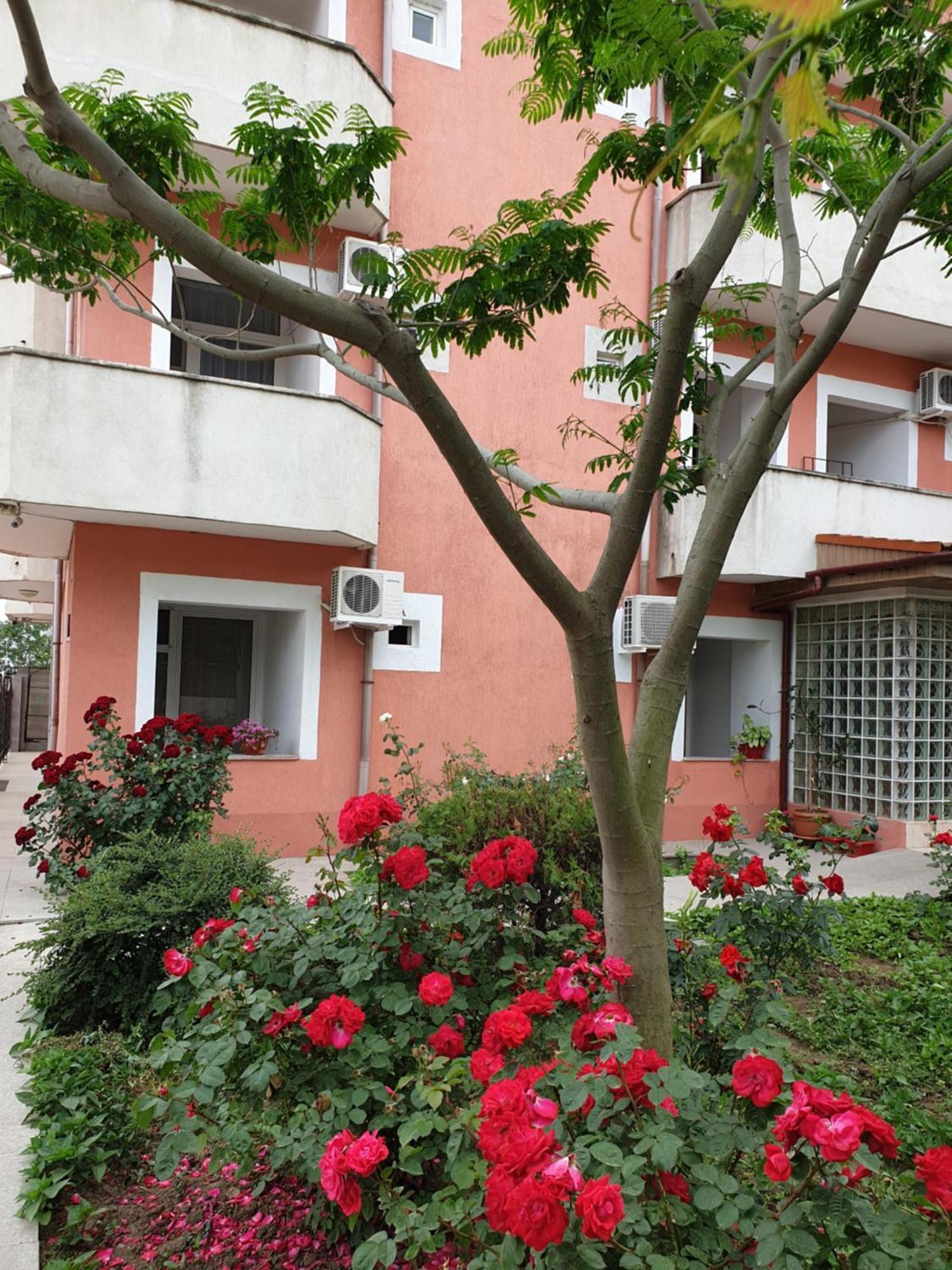 Hotel Laguna Eforie Nord Ngoại thất bức ảnh